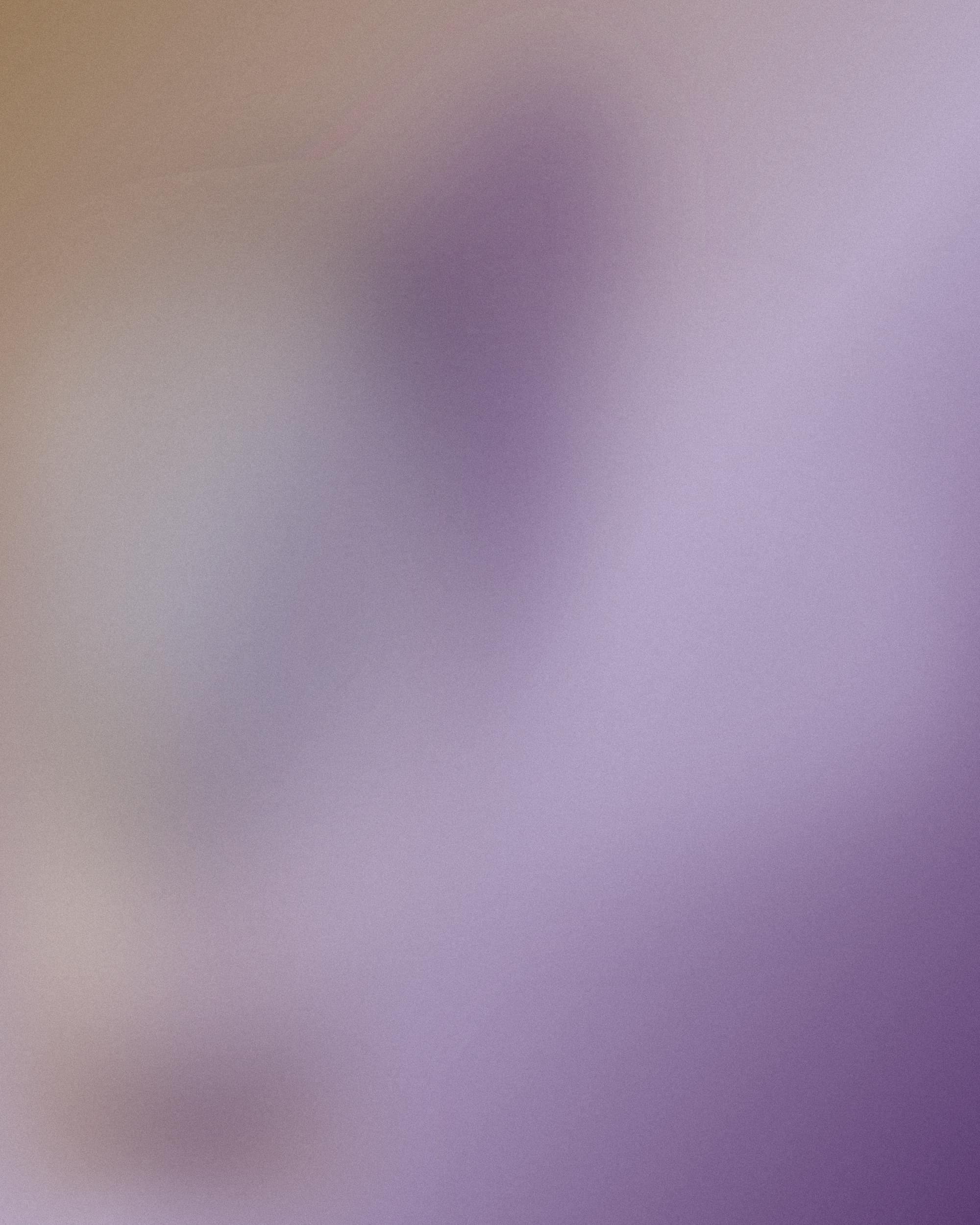 Placeholder still, a warm wood and lilac blur standing in for a performance photo